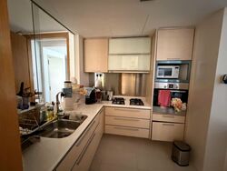 8 @ Mount Sophia (D9), Condominium #566496711